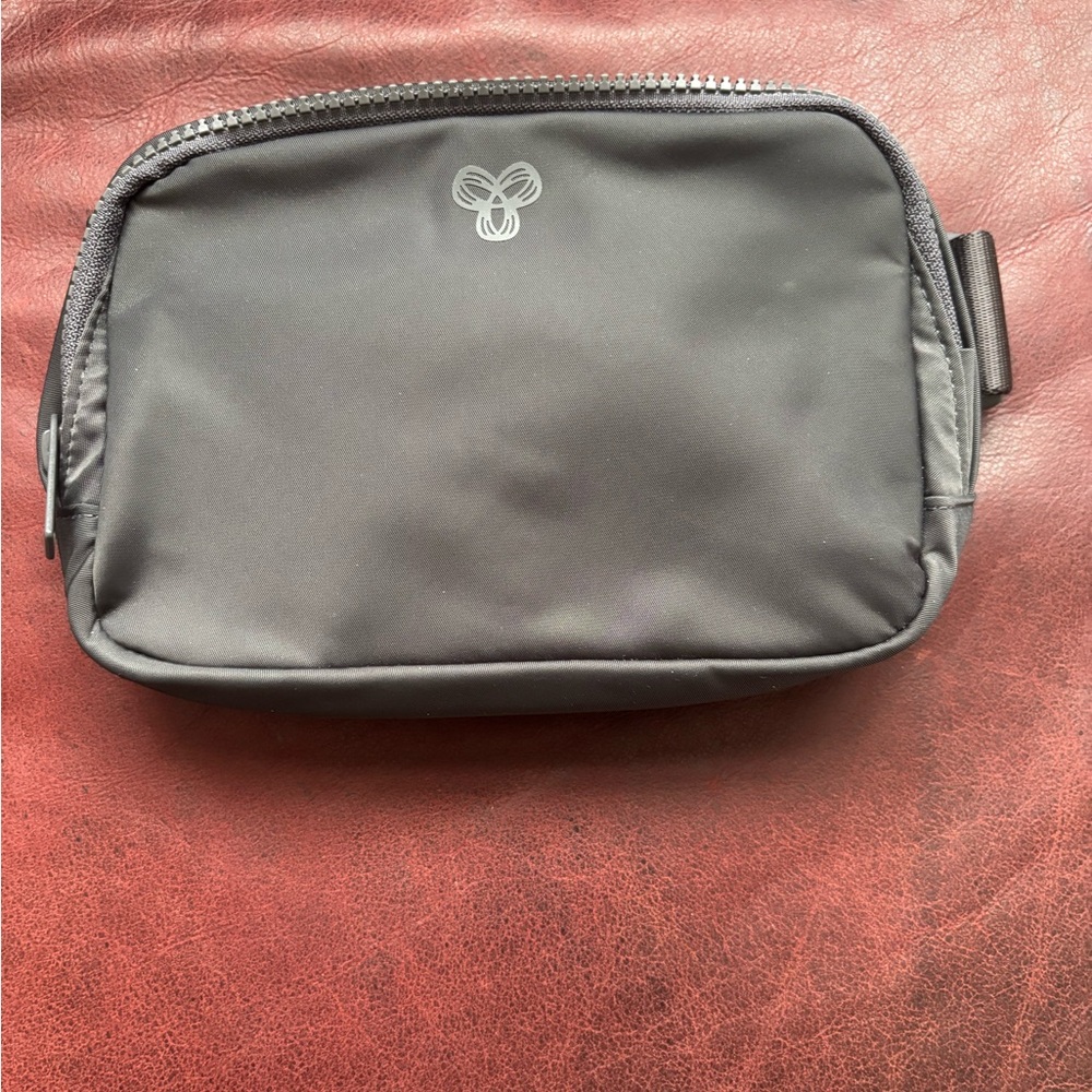 Aritzia TNA on the way exposed bag in dark grey